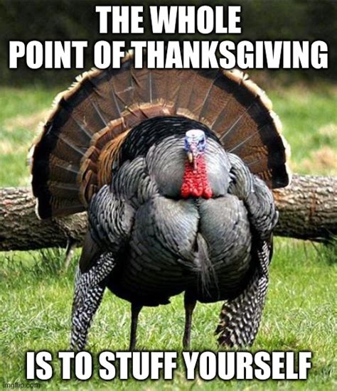 best free thanksgiving memes|adult thanksgiving memes.